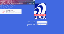 Desktop Screenshot of grupopilau.com.br